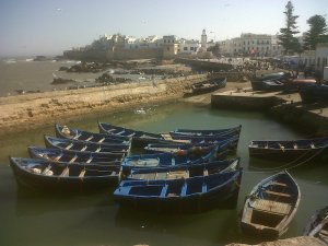 Our Brilliant Holiday